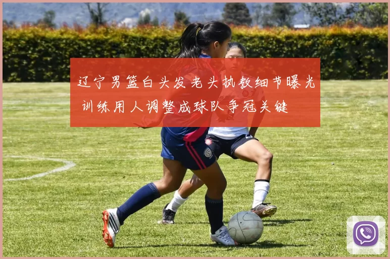 辽宁男篮白头发老头执教细节曝光 训练用人调整成球队争冠关键