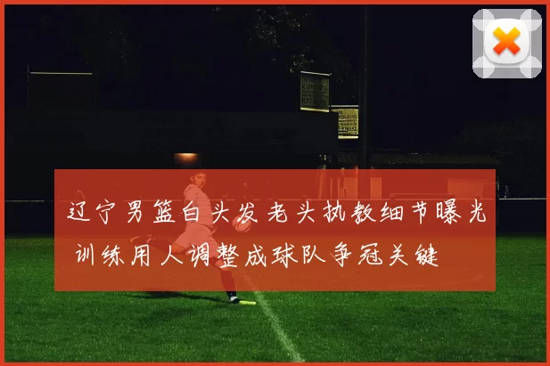 辽宁男篮白头发老头执教细节曝光 训练用人调整成球队争冠关键