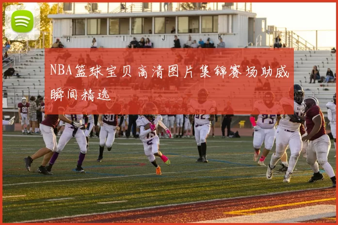 NBA篮球宝贝高清图片集锦赛场助威瞬间精选
