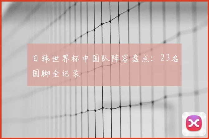 日韩世界杯中国队阵容盘点:23名国脚全记录